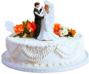 Wedding cake PNG-19435